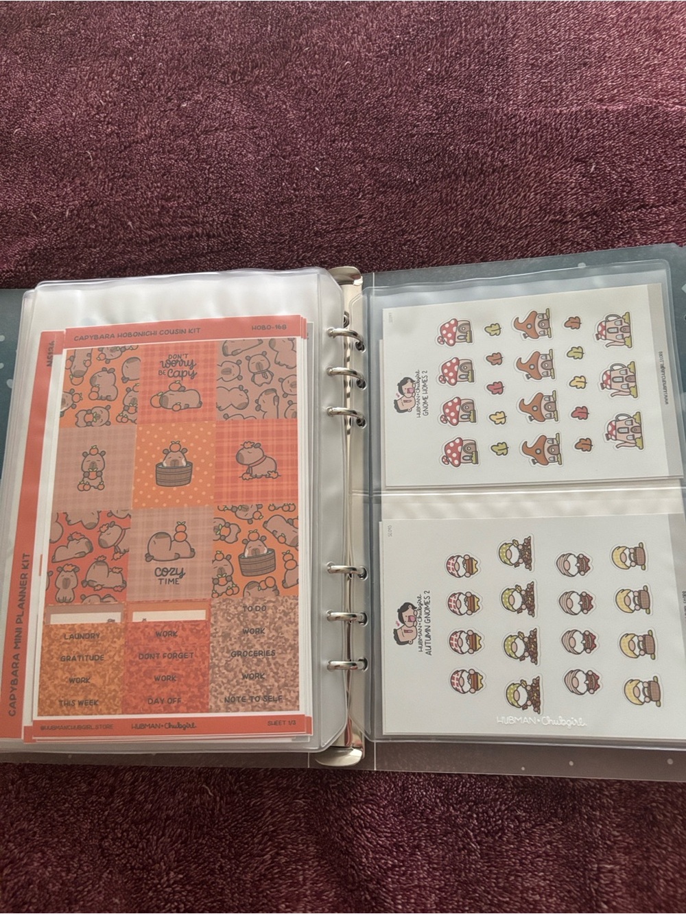 LARGE HADMAN & Chub girl Sticker collection +binder - Picture 13 of 15